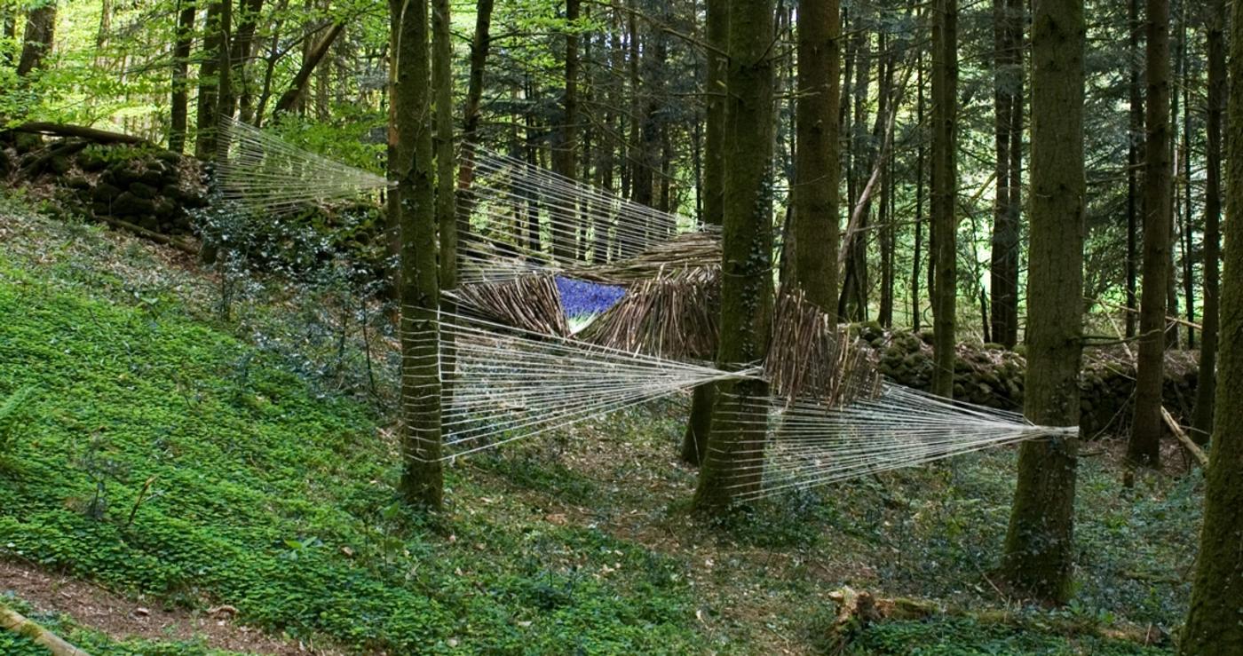 Les freres tasseaux-galerie