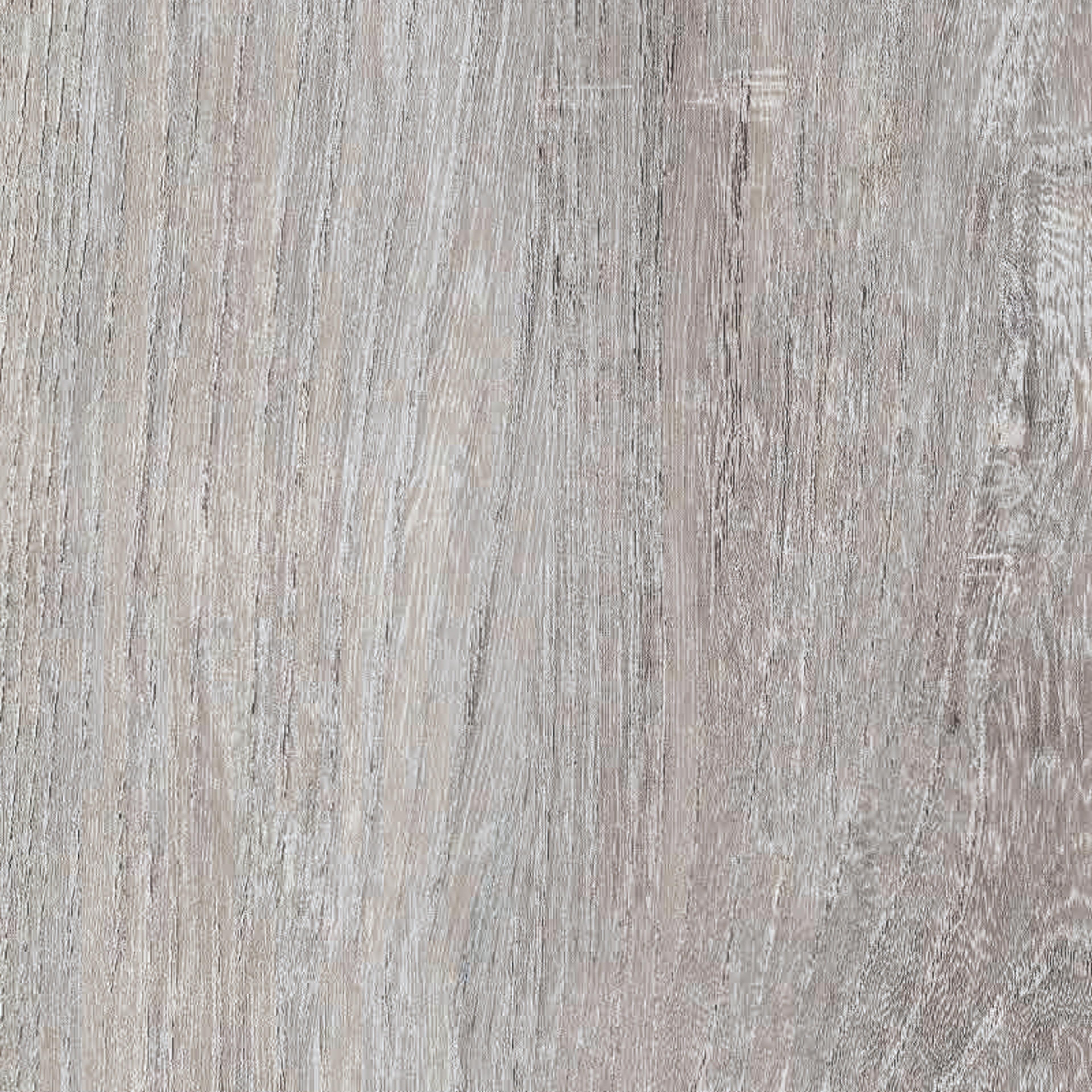 INTCO White Elm SPC Flooring color swatch — WY143, SPC