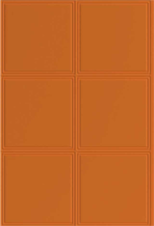 C238A Pure Embossed Series PS wall panel finish