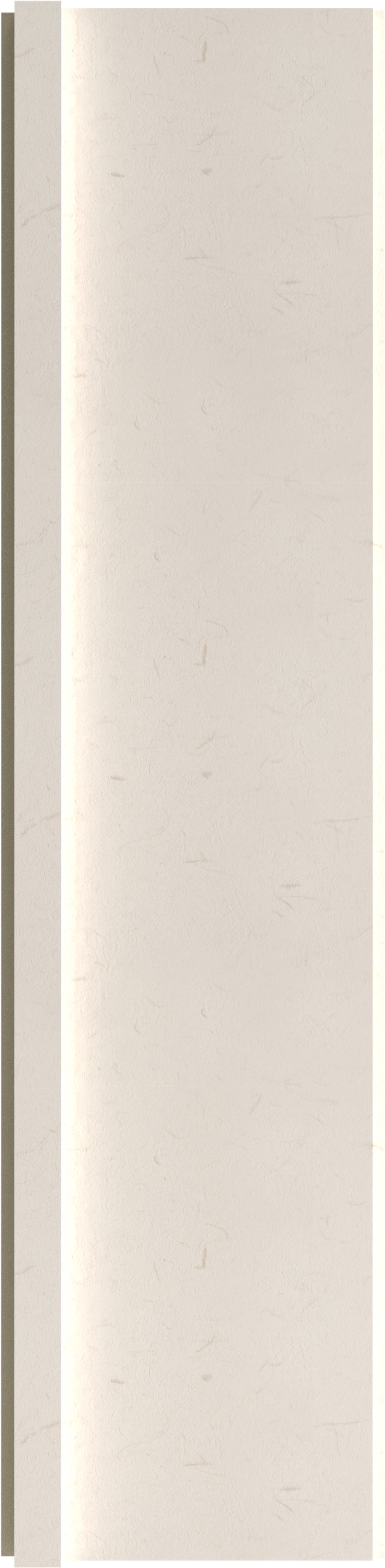 INTCO WPC Wall Panel color swatch — FB01, WPC