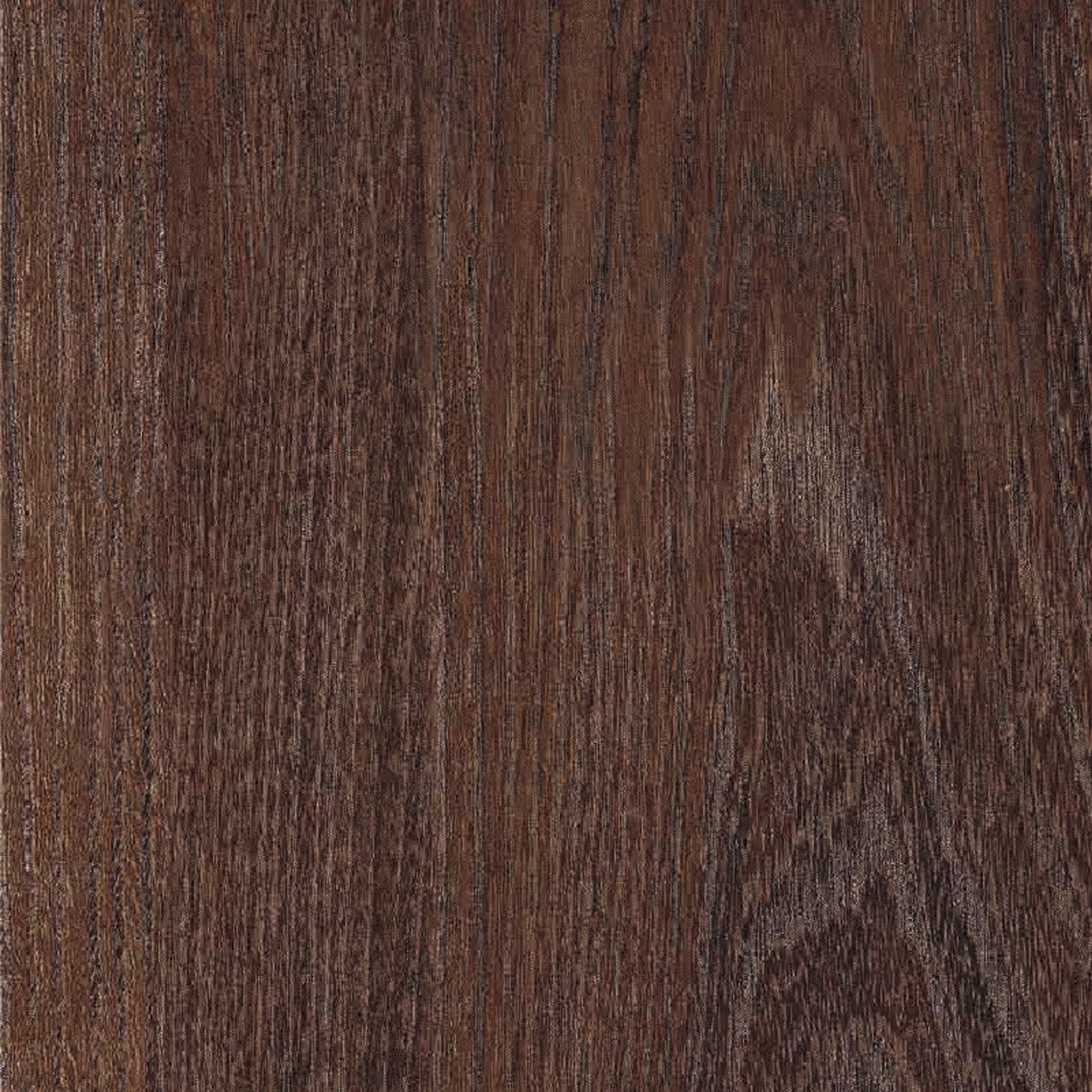 INTCO White Elm SPC Flooring color swatch — WY144, SPC