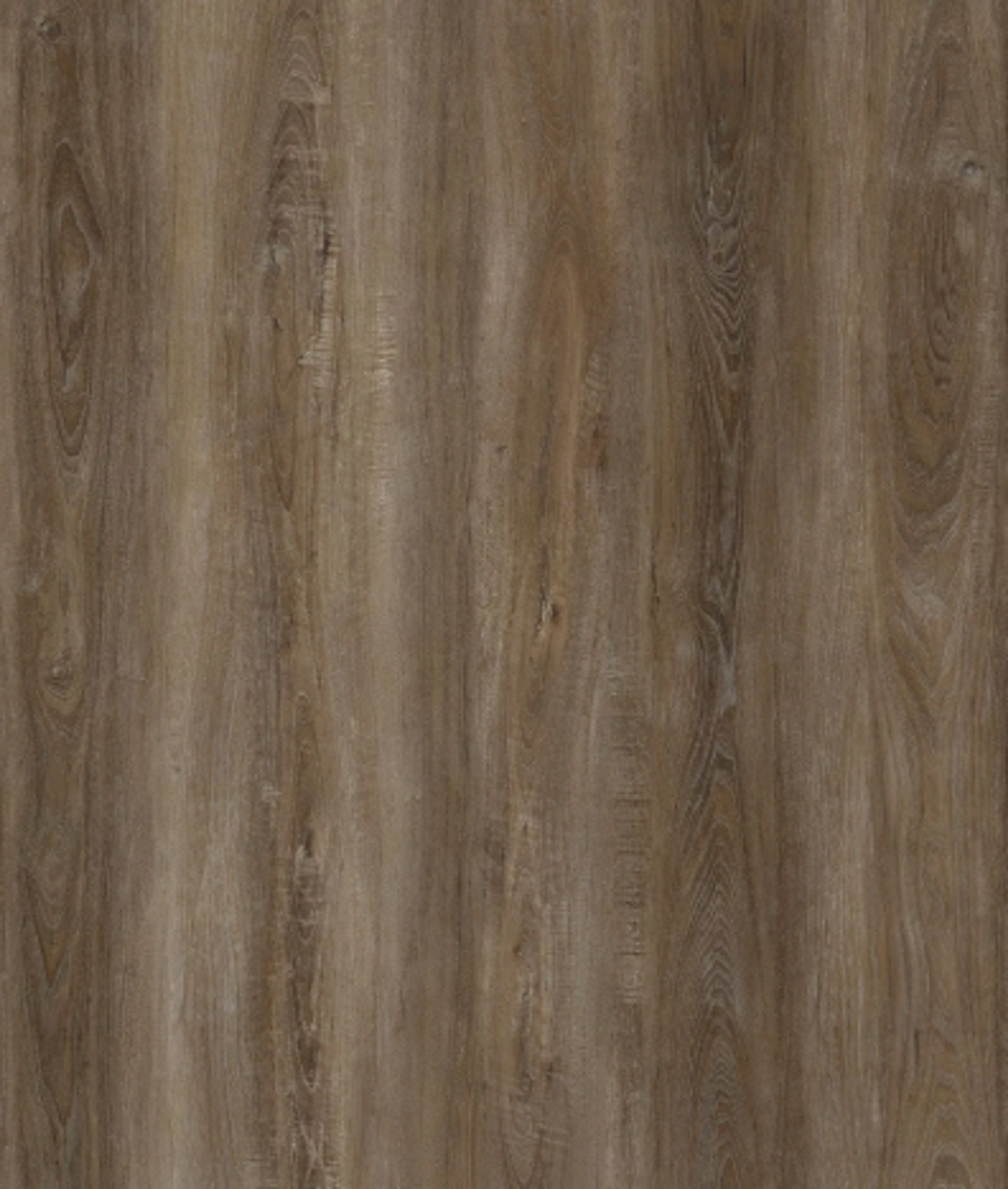 INTCO White Elm SPC Flooring color swatch — WY145, SPC