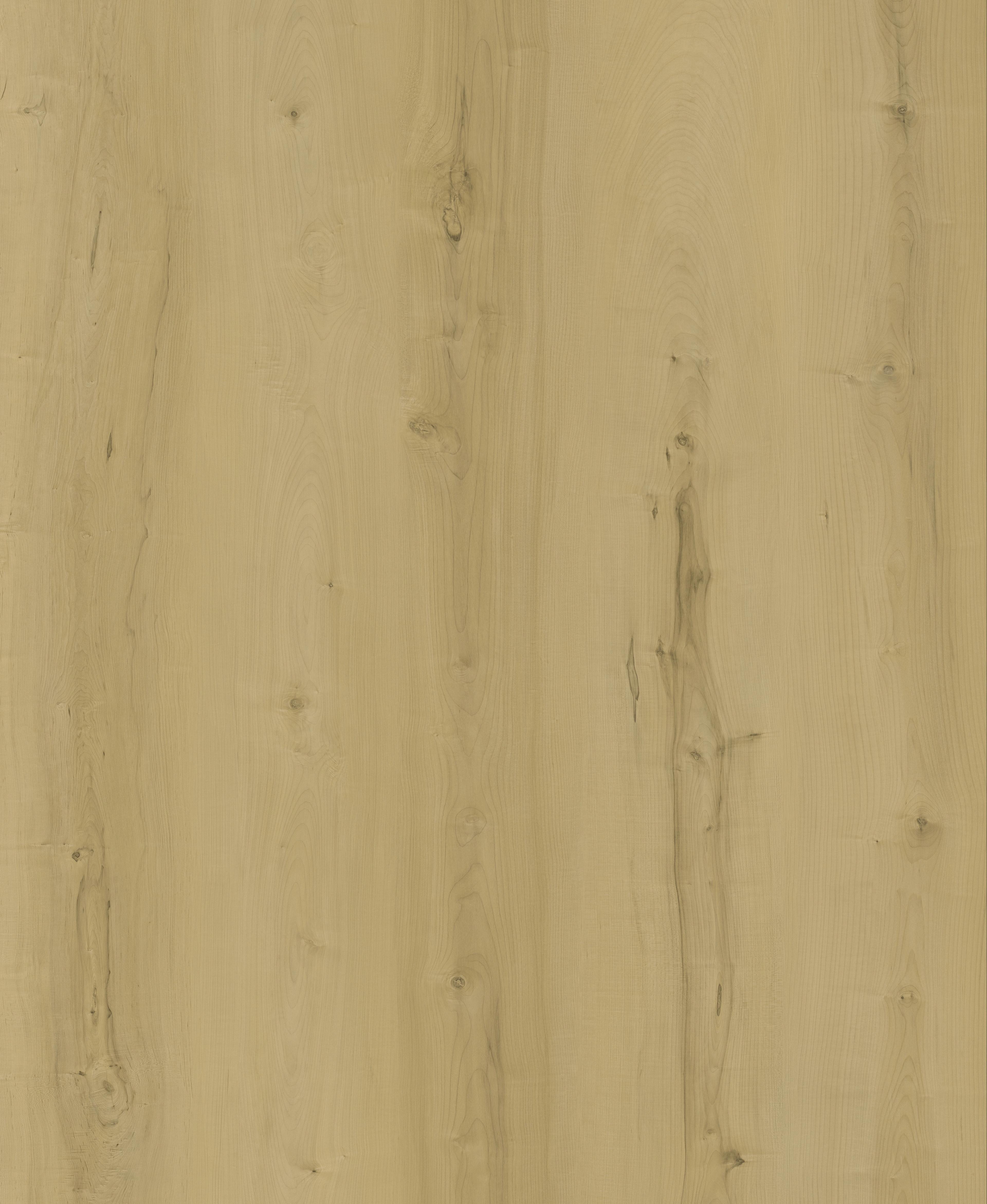 INTCO Soft Maple Wood-Grain SPC Flooring color swatch — WY300, SPC