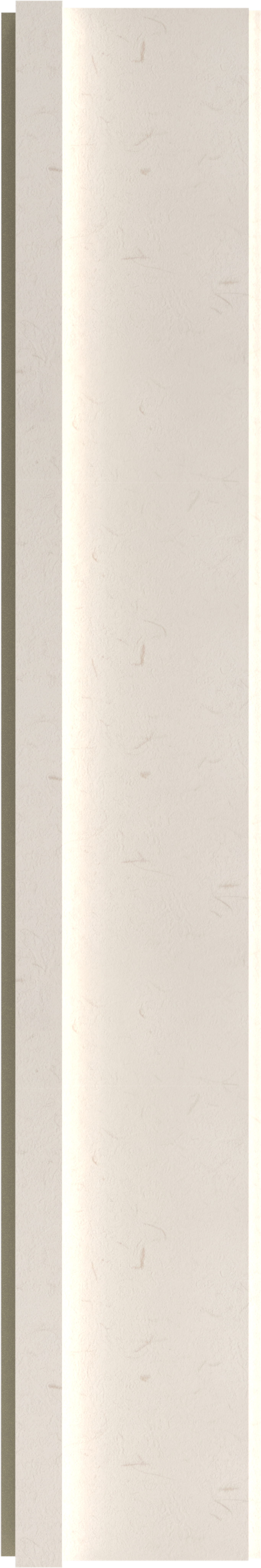 INTCO WPC Wall Panel color swatch — FB01, WPC