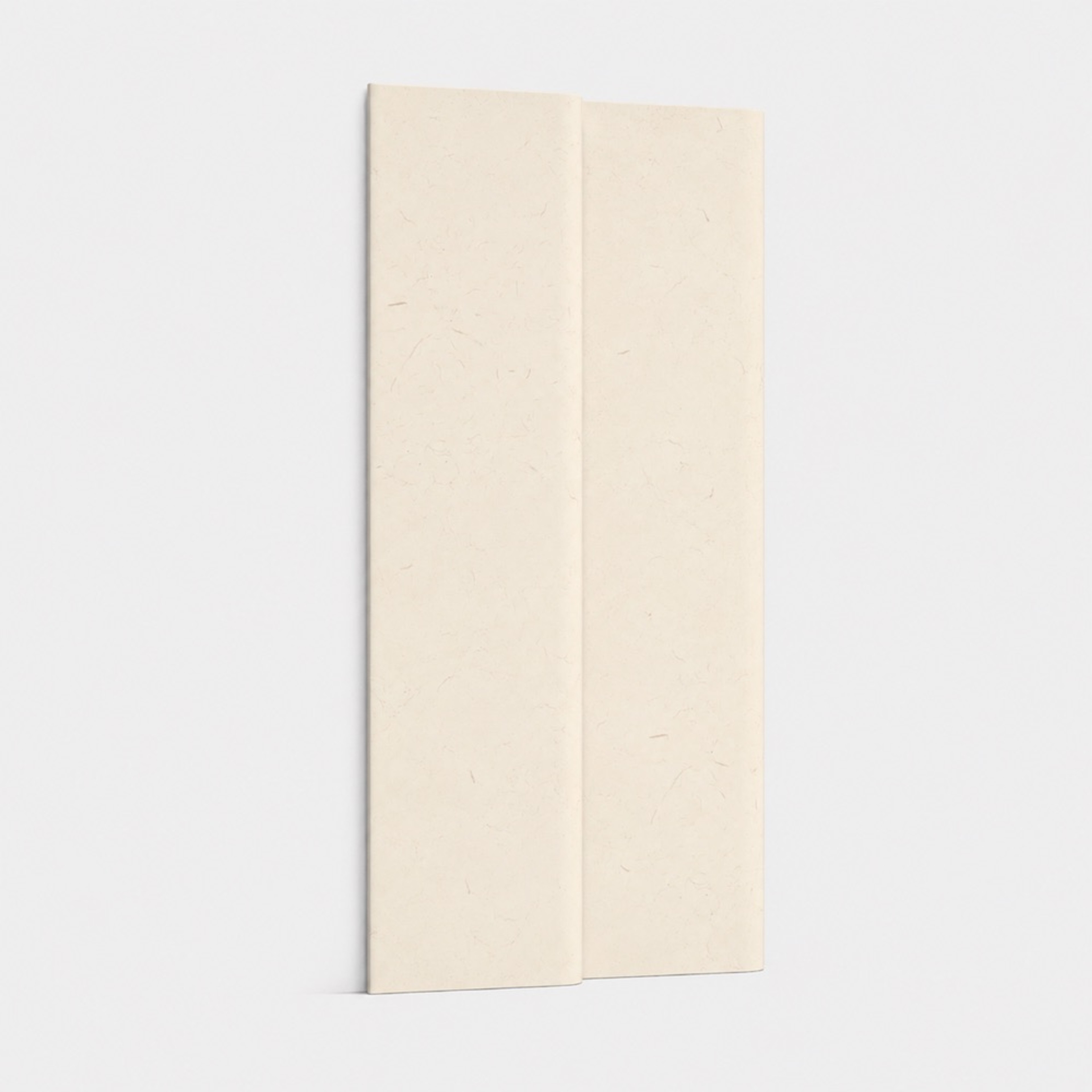 WPC Wall Panel
