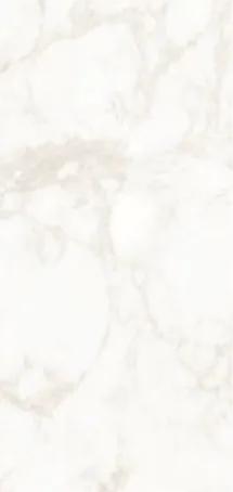 UV-SY123 SPC wall panel finish