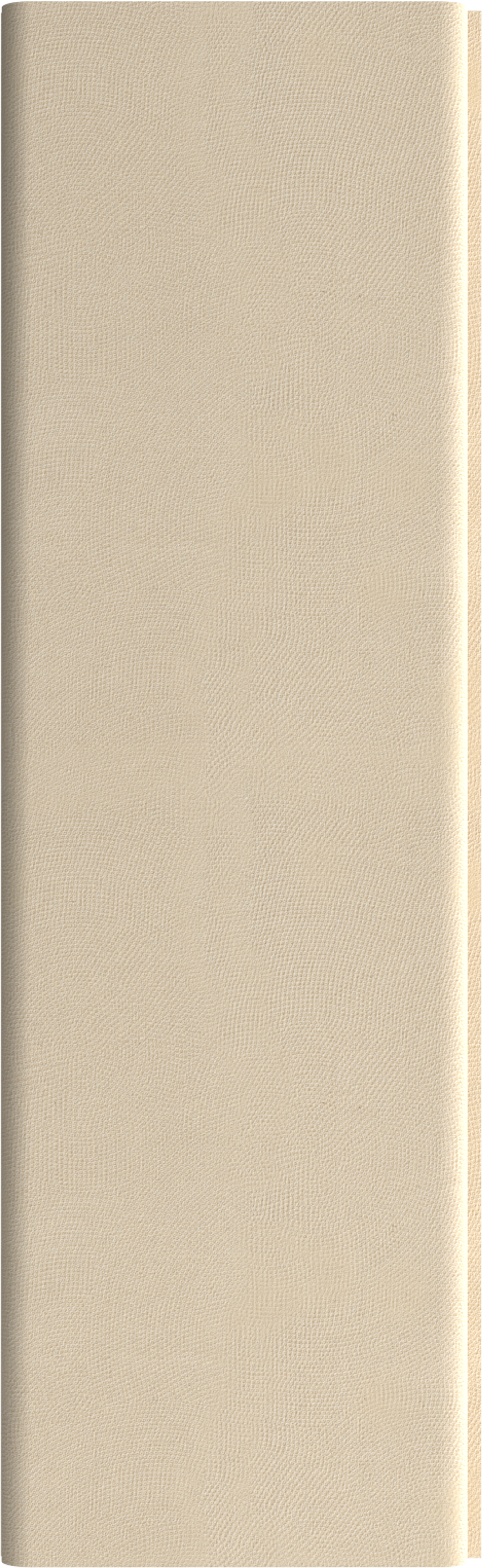 INTCO WPC Wall Panel color swatch — FZ189, WPC