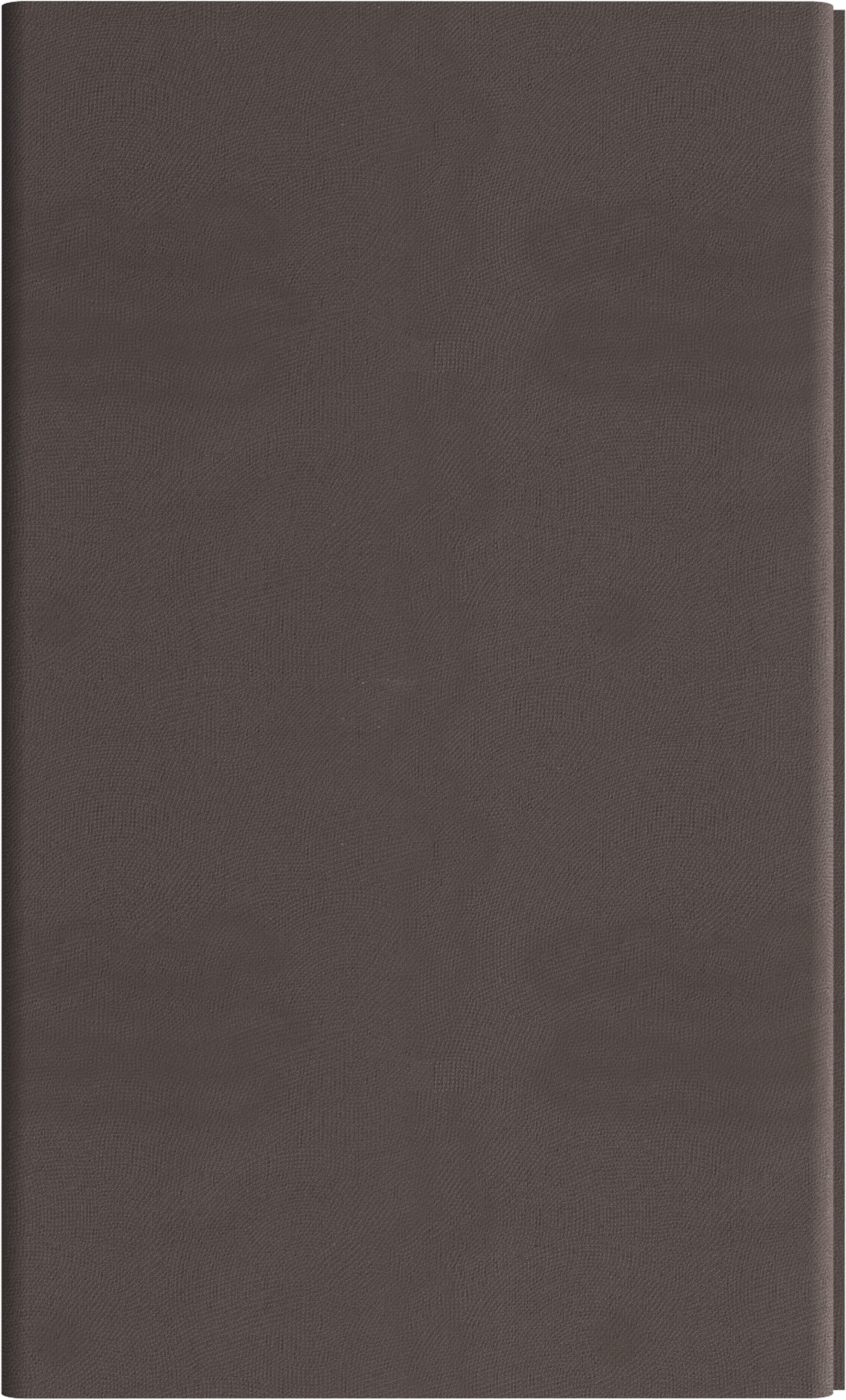 INTCO WPC Wall Panel color swatch — FZ195, WPC