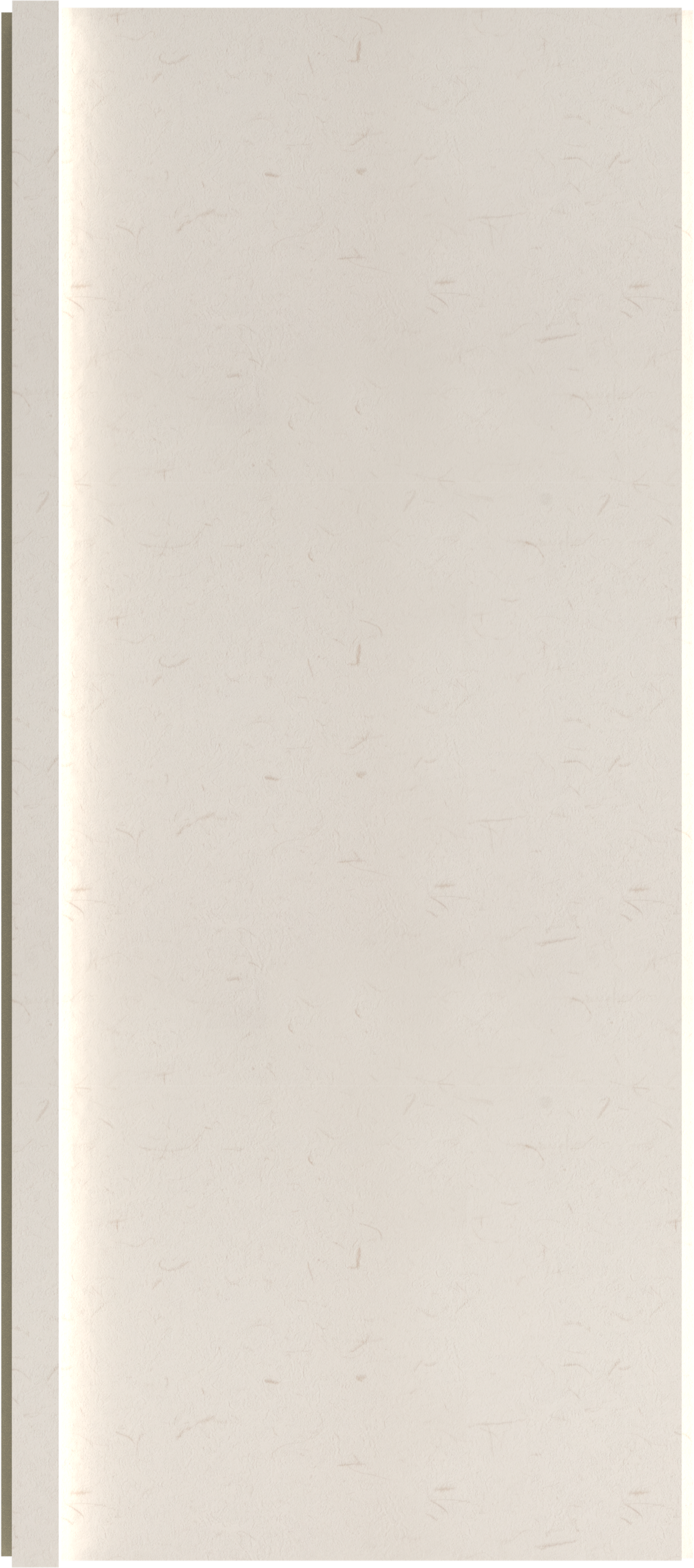 INTCO WPC Wall Panel color swatch — FB01, WPC