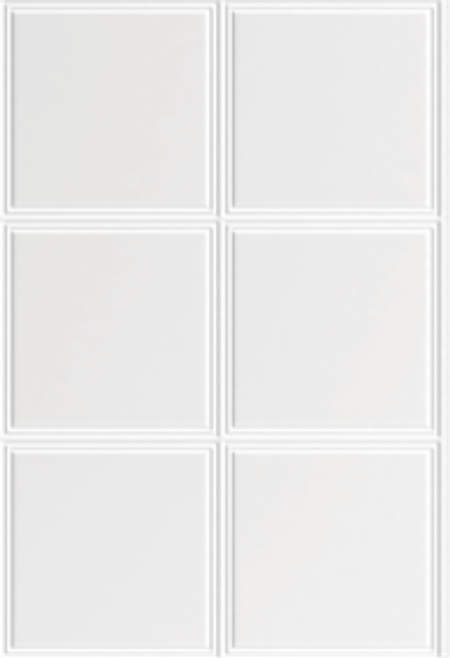 C27A Pure Embossed Series PS wall panel finish
