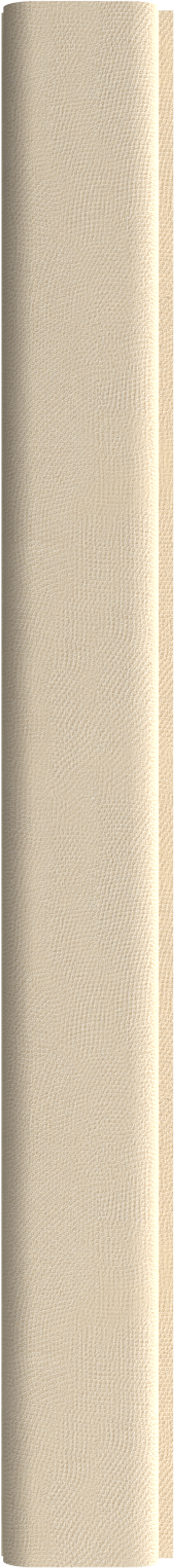 INTCO WPC Wall Panel color swatch — FZ189, WPC