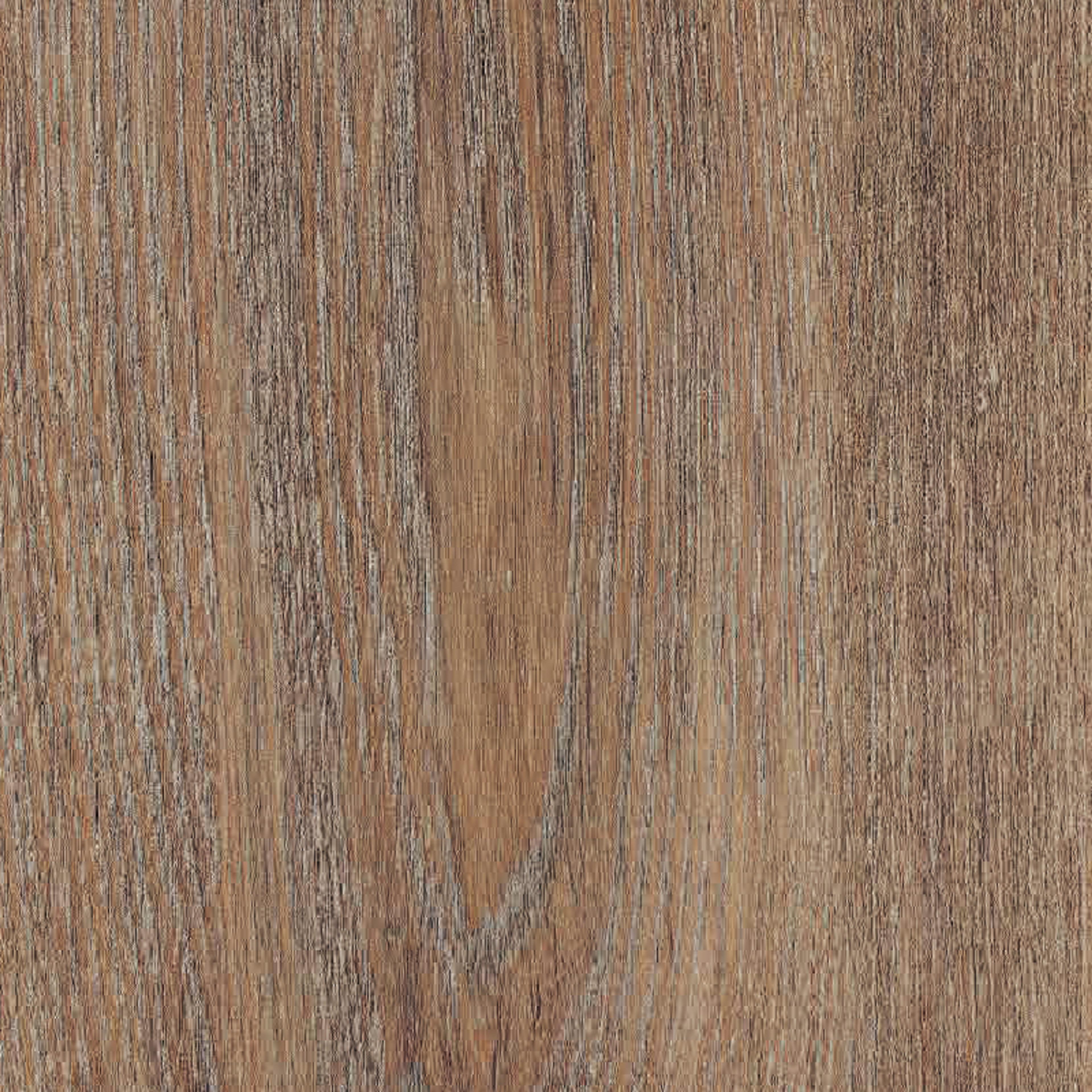 INTCO White Elm SPC Flooring color swatch — WY142, SPC