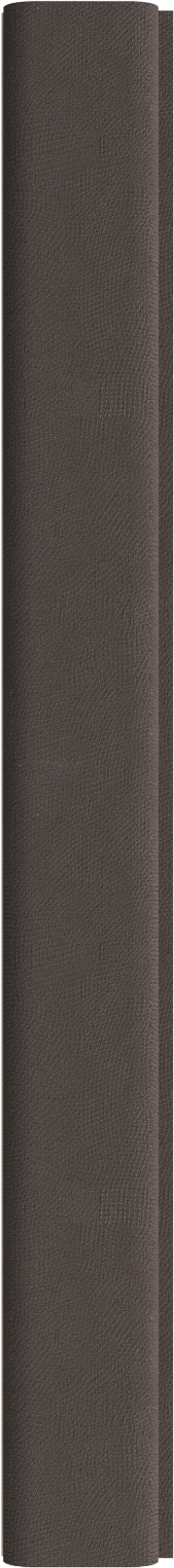 INTCO WPC Wall Panel color swatch — FZ195, WPC