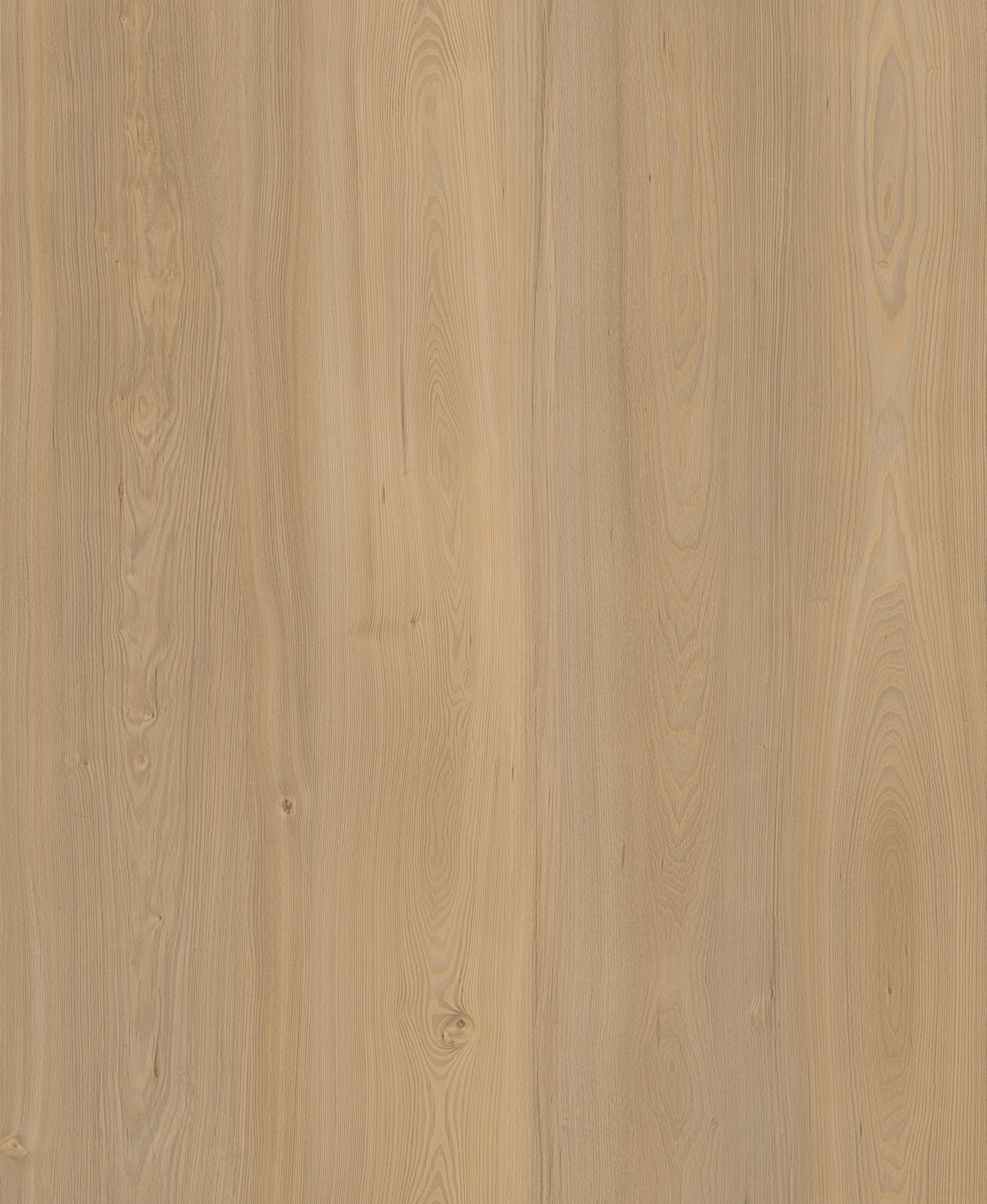 INTCO Elm Wood-Grain SPC Flooring color swatch — WY330, SPC