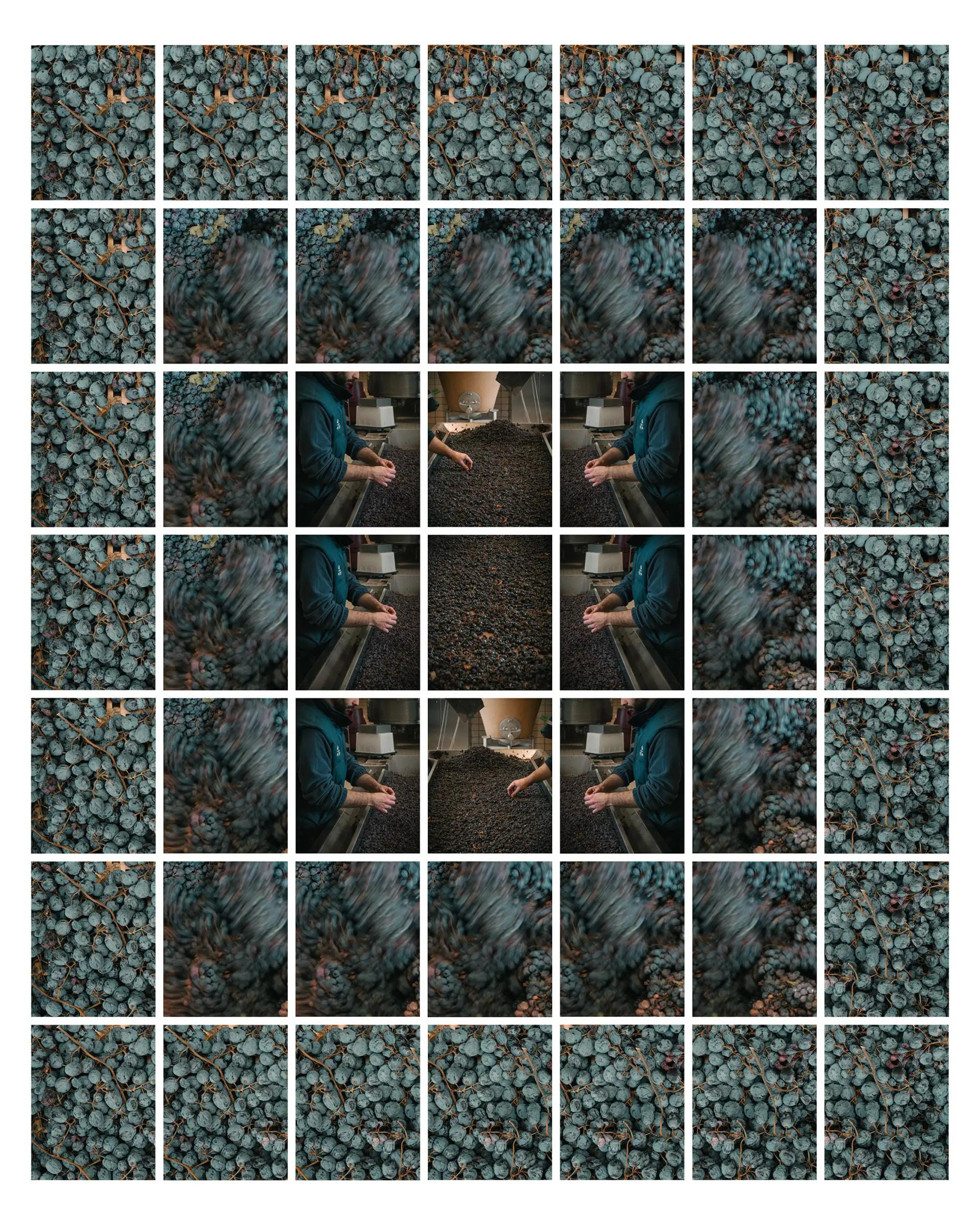Visual content for project