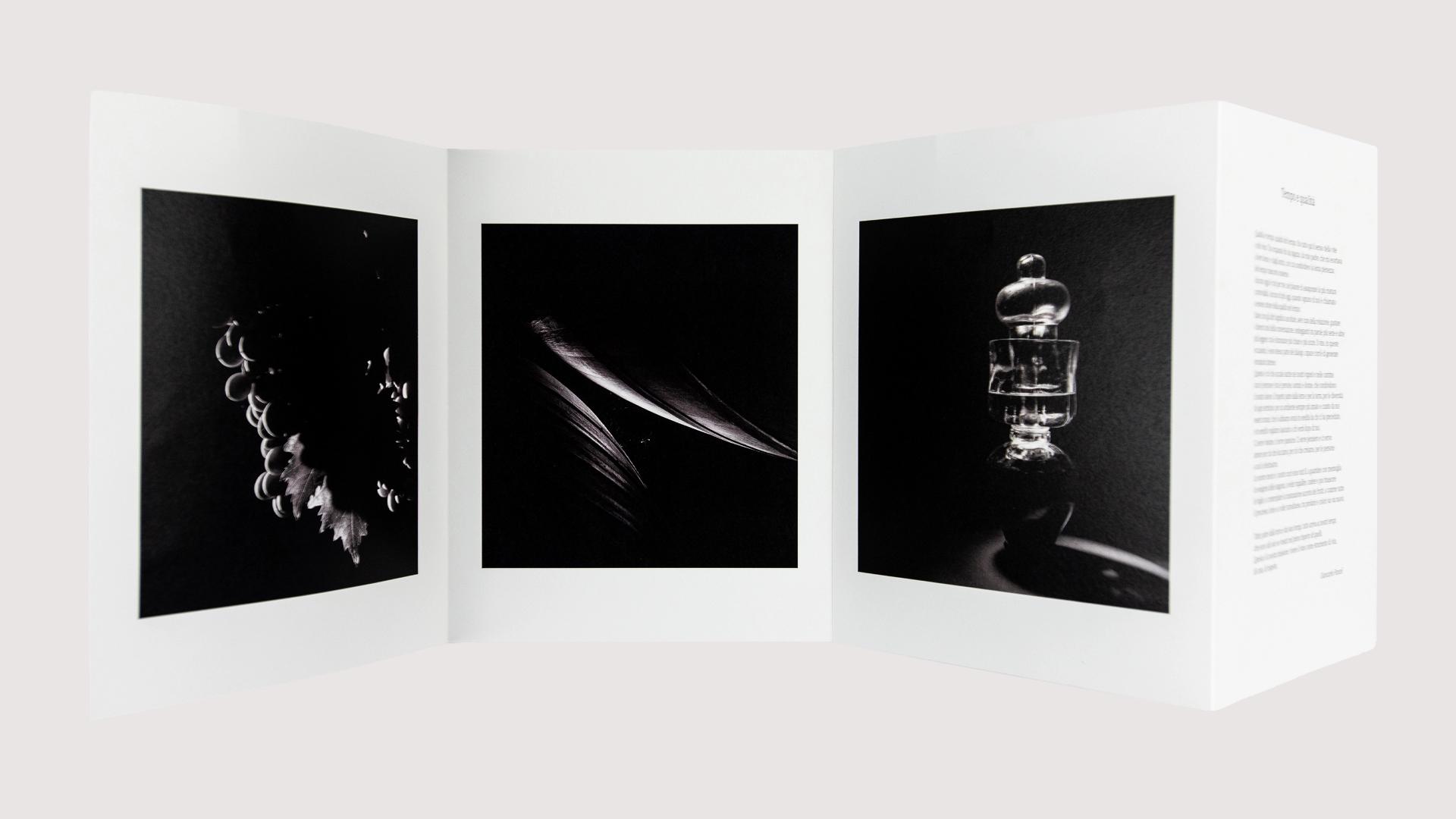 Visual content for project