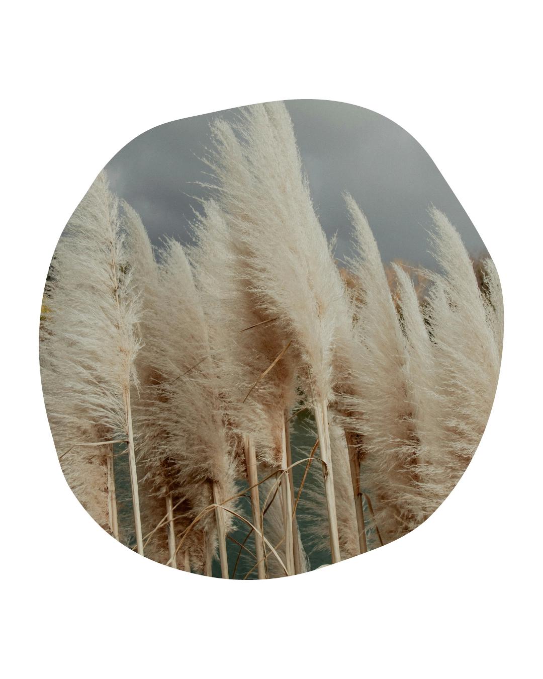 Frame 1