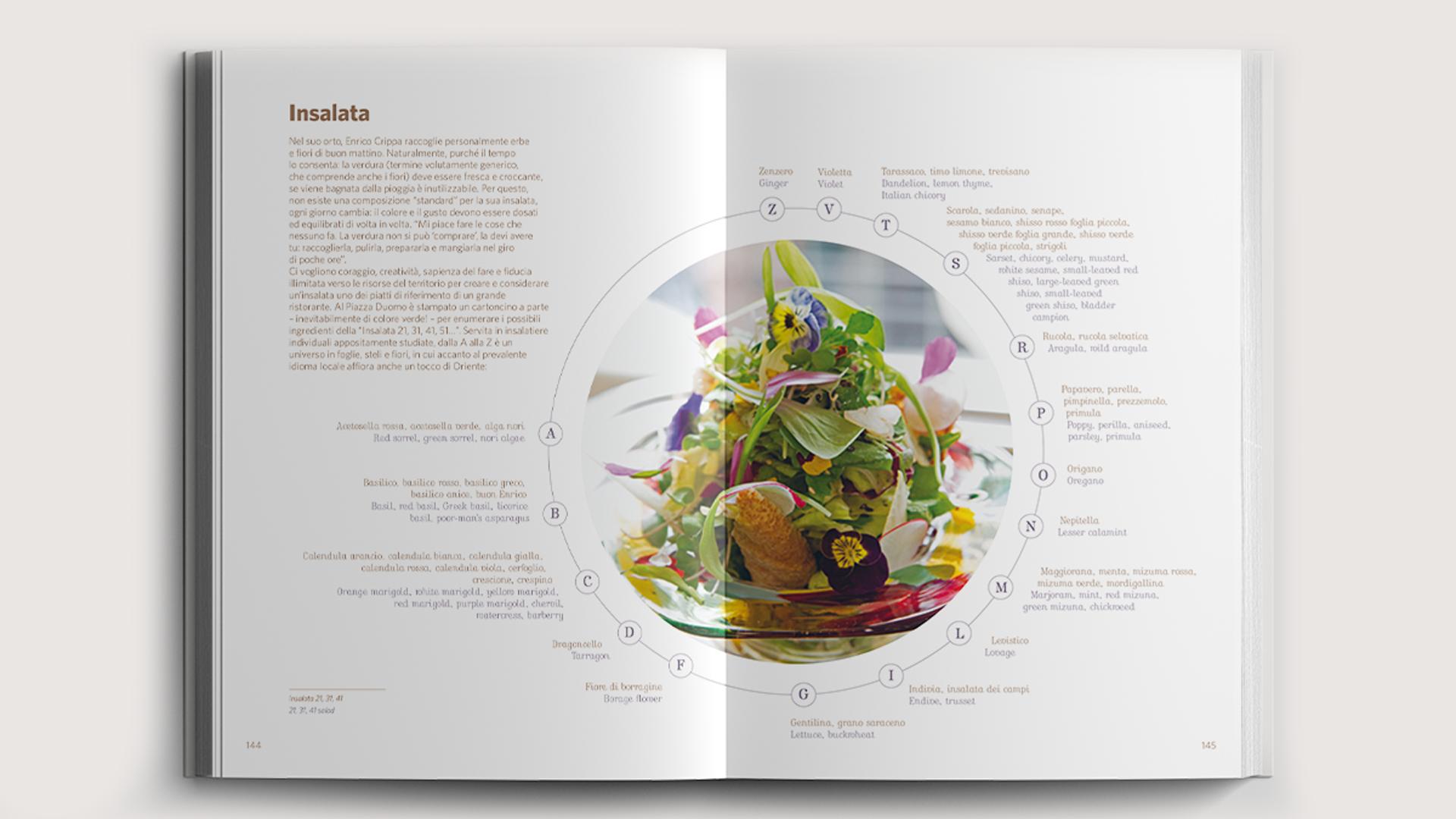 Visual content for project