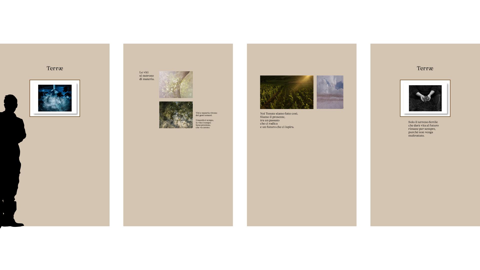 Visual content for project