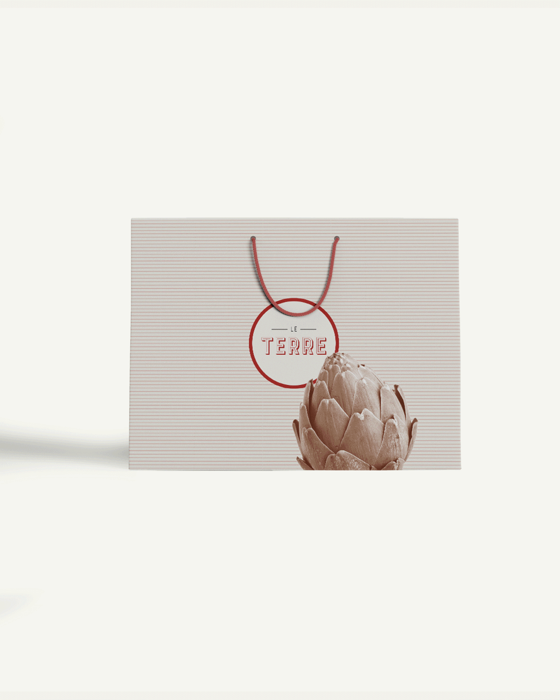 Visual content for project