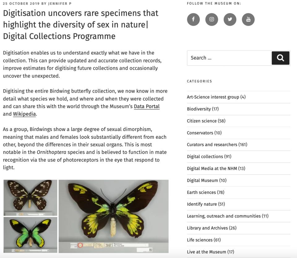 Natural History Museum blog post on digitising its Birdwing butterfly collection, with photos of two butterfly specimens and a sidebar of blog categories and a search box.