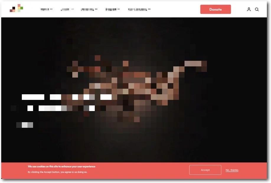 Website homepage with a pink banner, 'We use cookies on this site... By clicking the Accept button, you agree', with 'Accept' and 'No, thanks' options; site details are blurred.