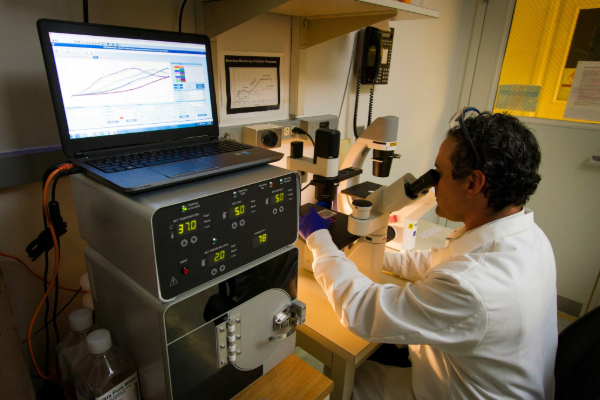 Is the R&D Tax Credit Worth the Effort?