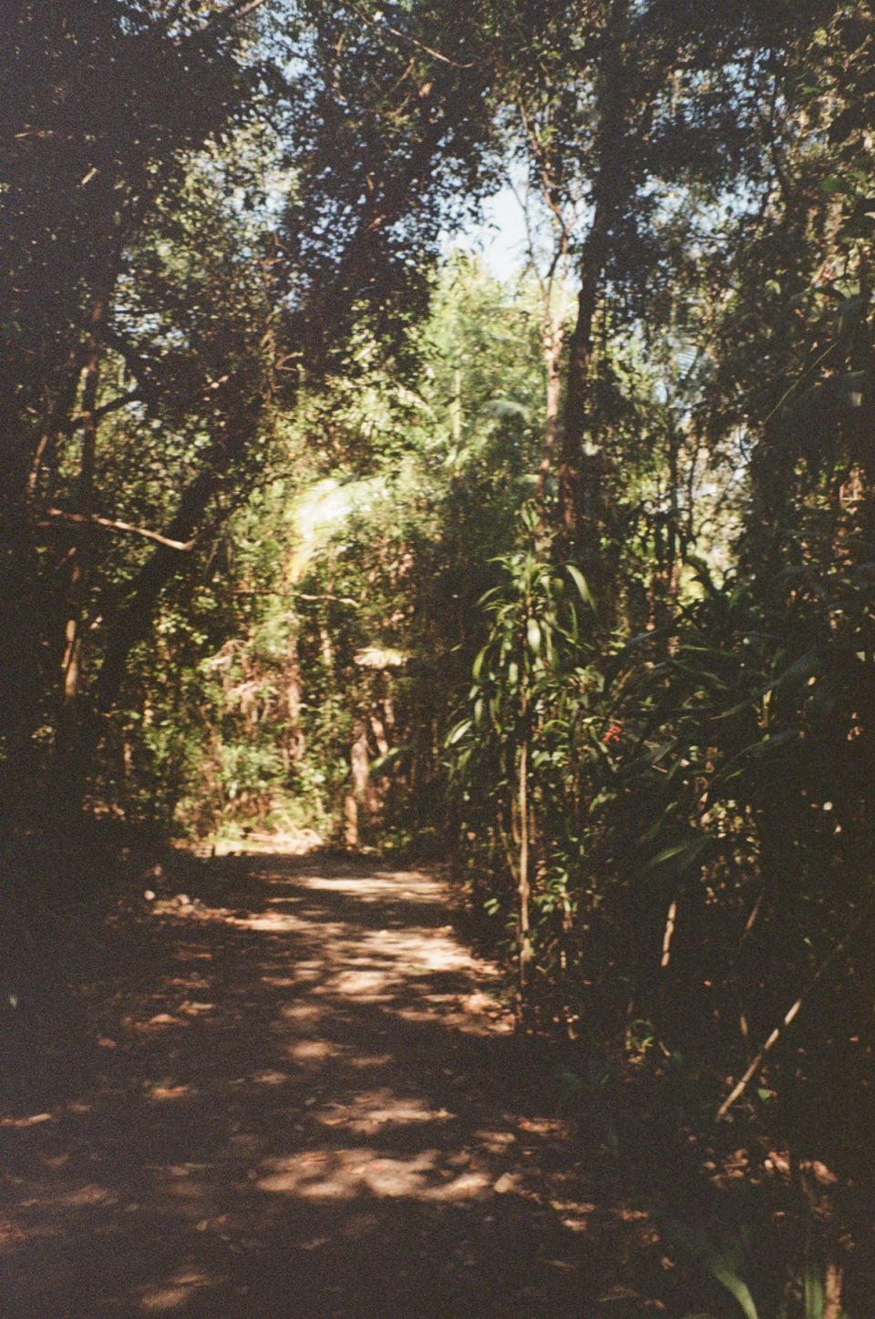 Photograph, Australia, 2026