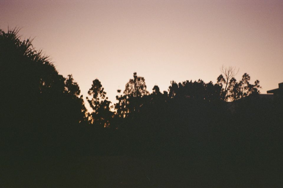 Photograph, Australia, 2026