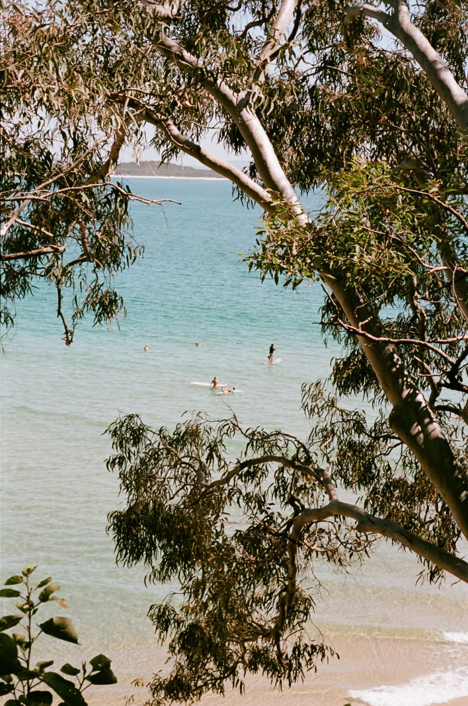 Photograph, Australia, 2026