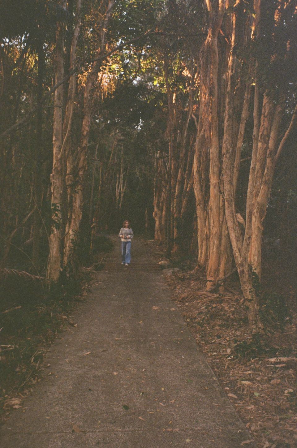 Photograph, Australia, 2026