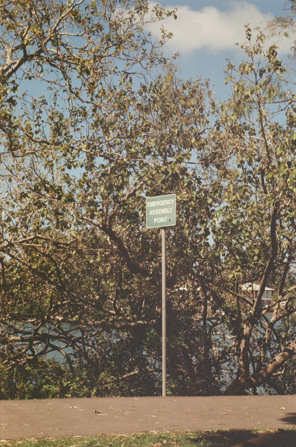 Photograph, Australia, 2026