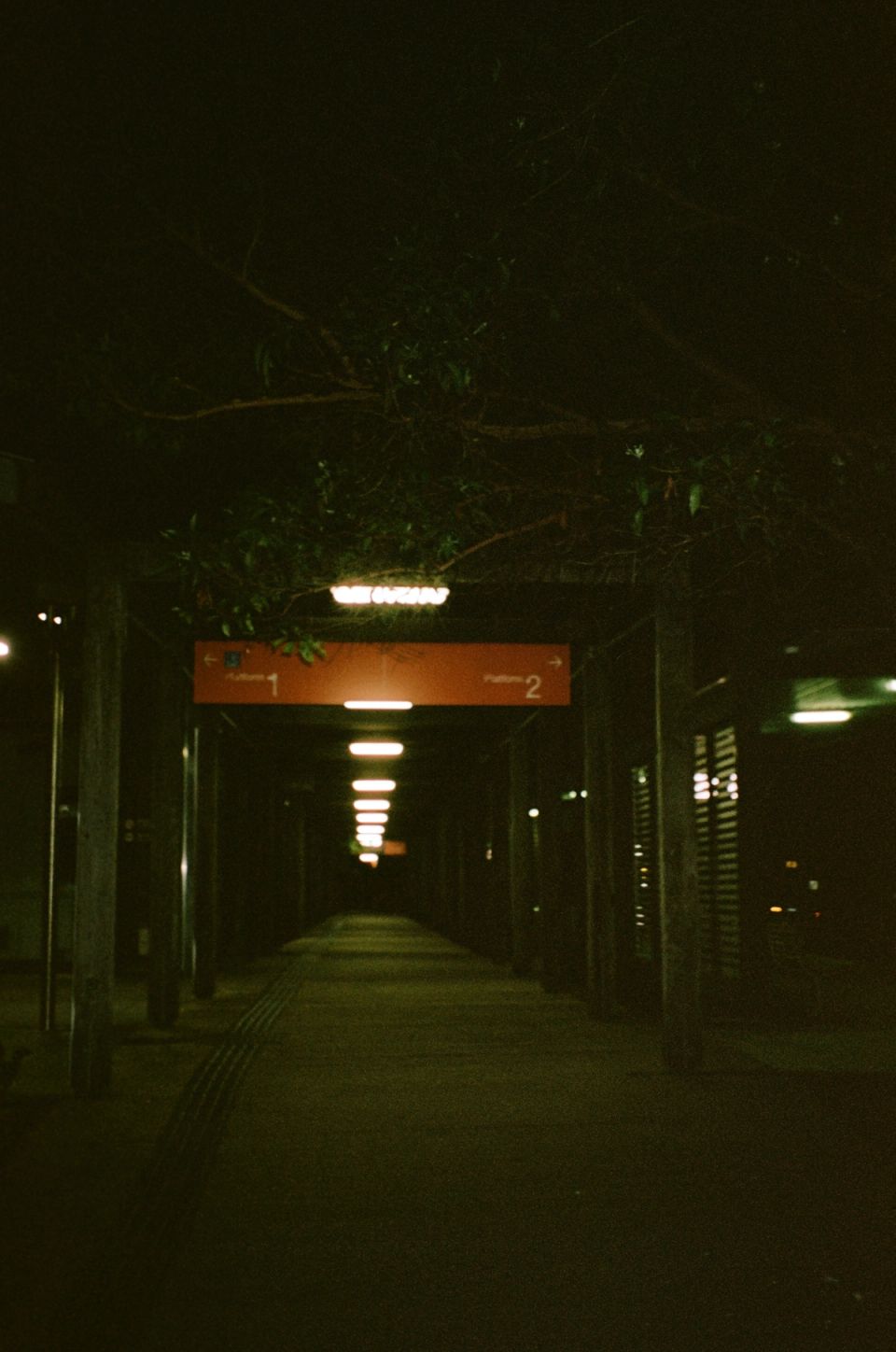 Photograph, Australia, 2026