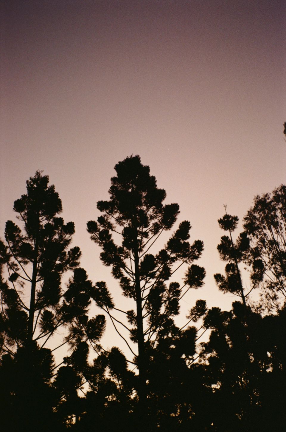 Photograph, Australia, 2026