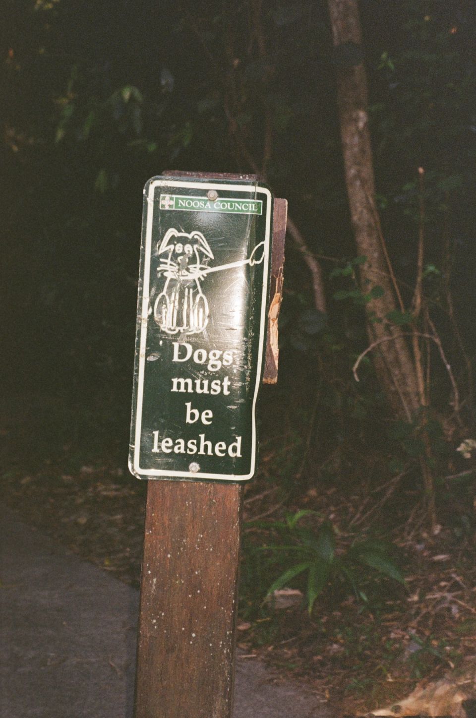 Photograph, Australia, 2026