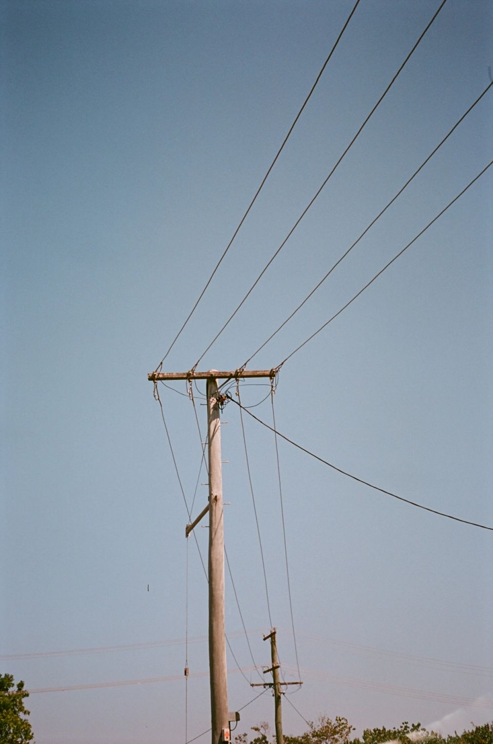 Photograph, Australia, 2026
