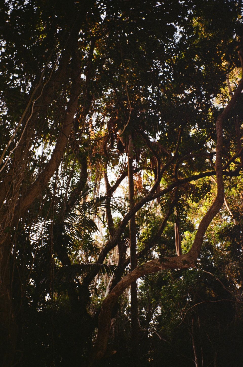 Photograph, Australia, 2026