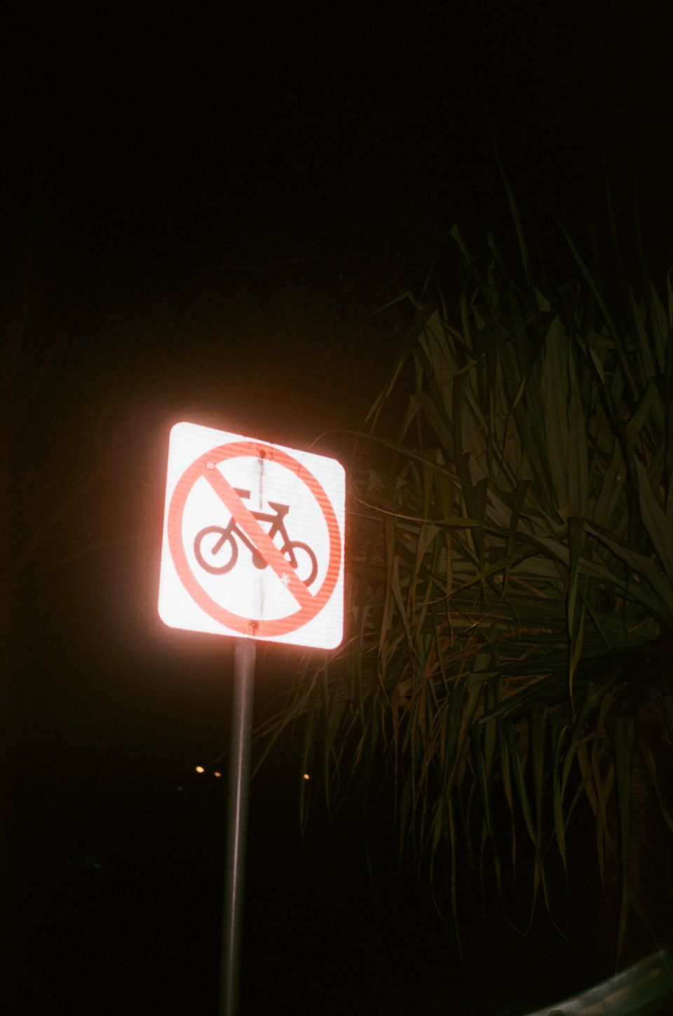 Photograph, Australia, 2026