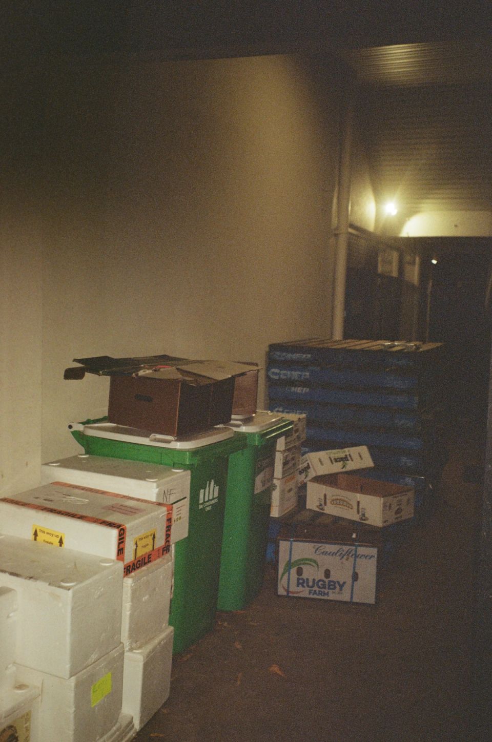 Photograph, Australia, 2026