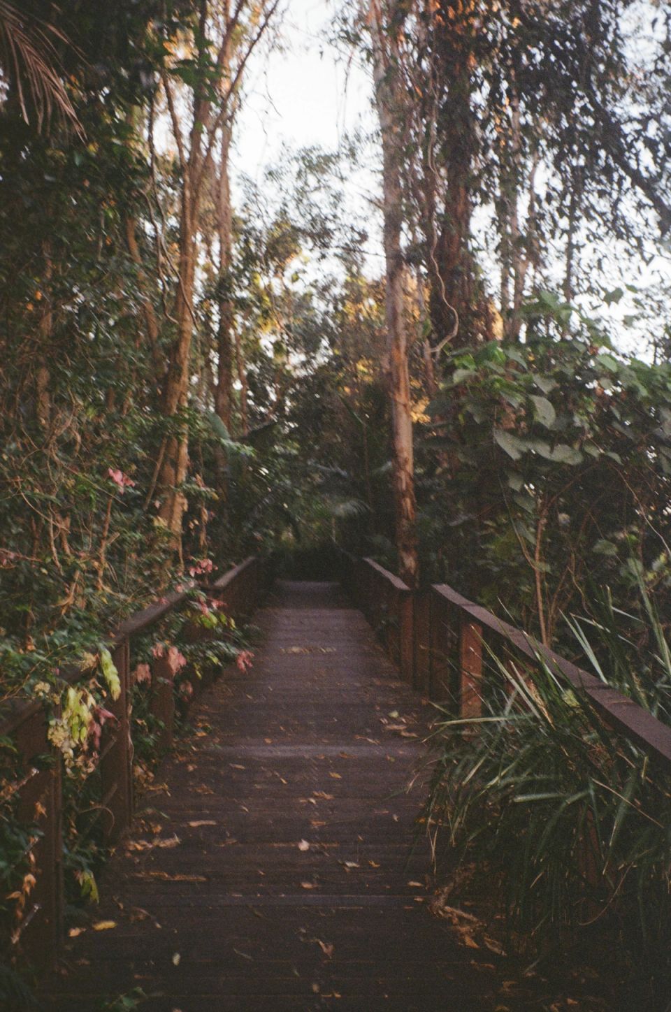 Photograph, Australia, 2026