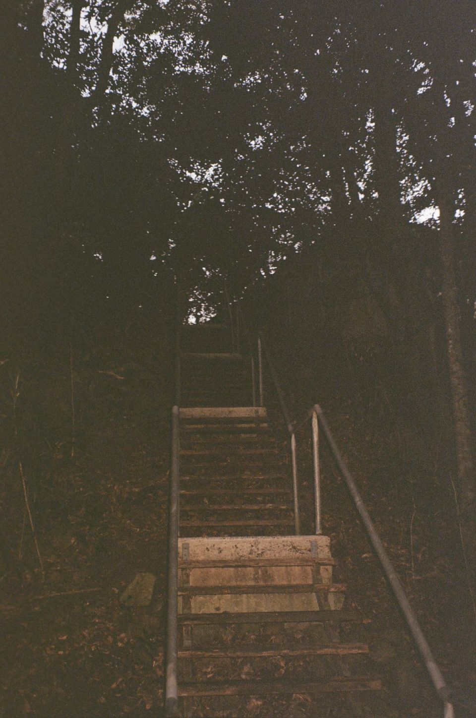 Photograph, Australia, 2026