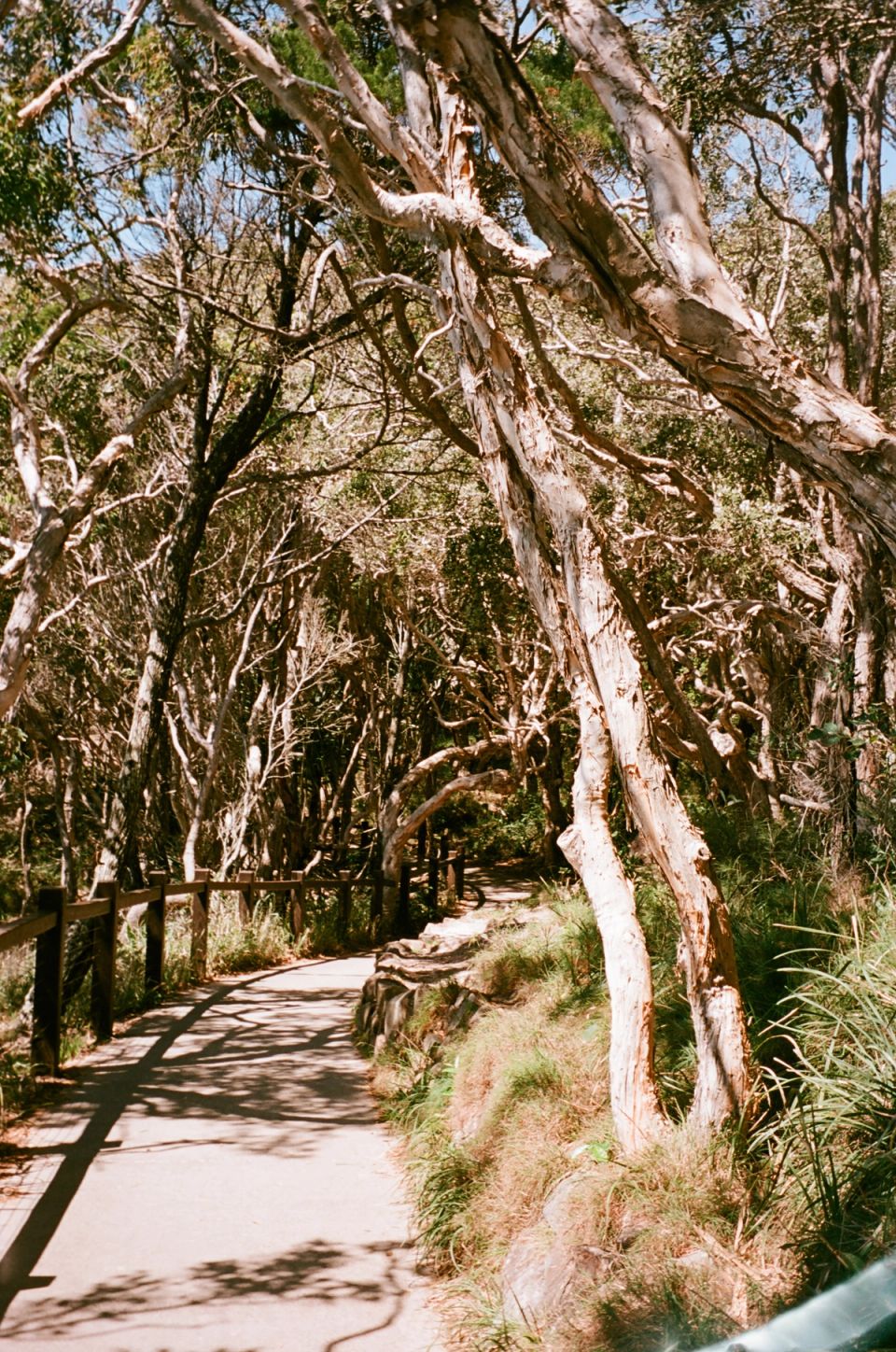 Photograph, Australia, 2026