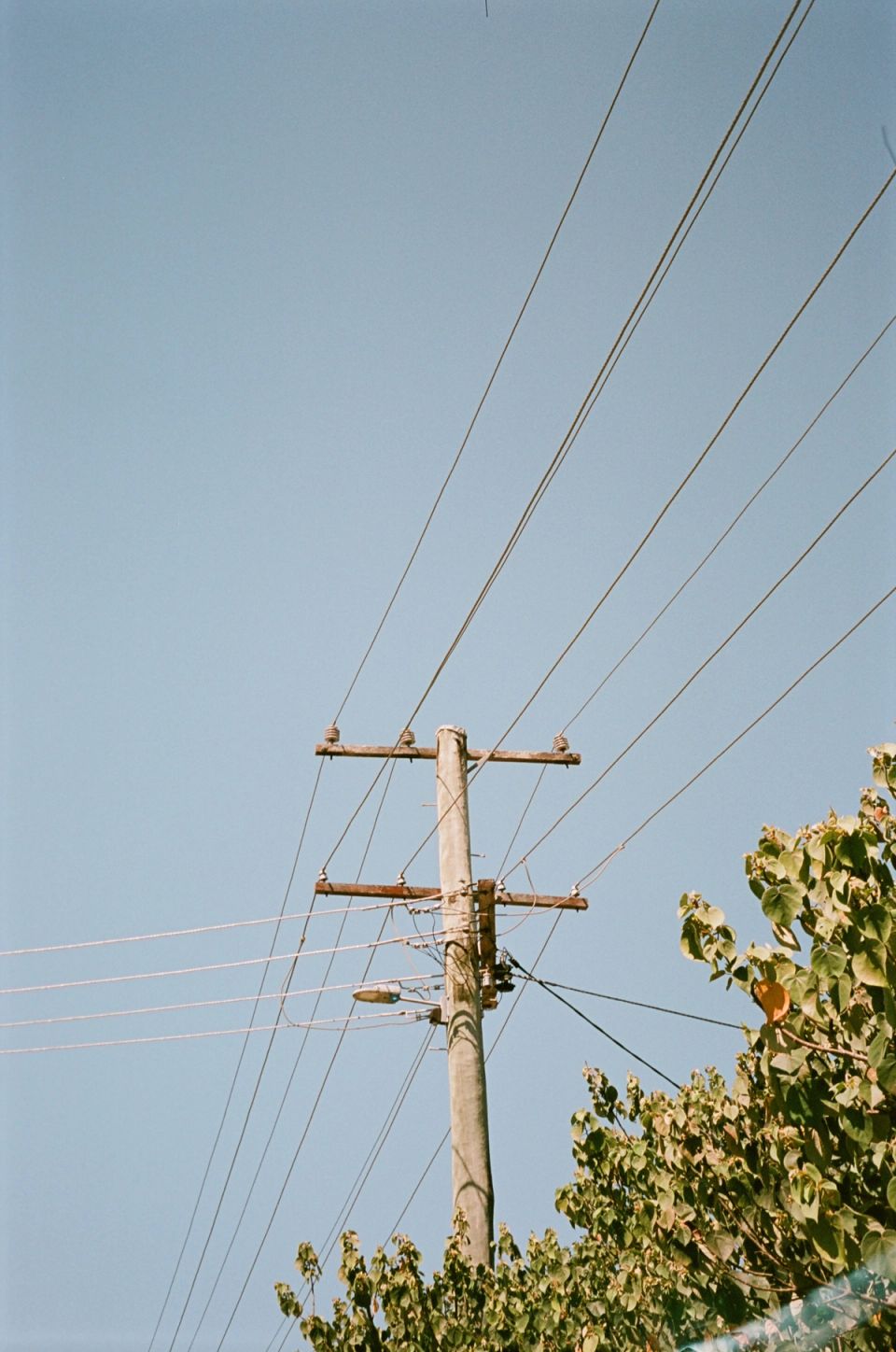 Photograph, Australia, 2026