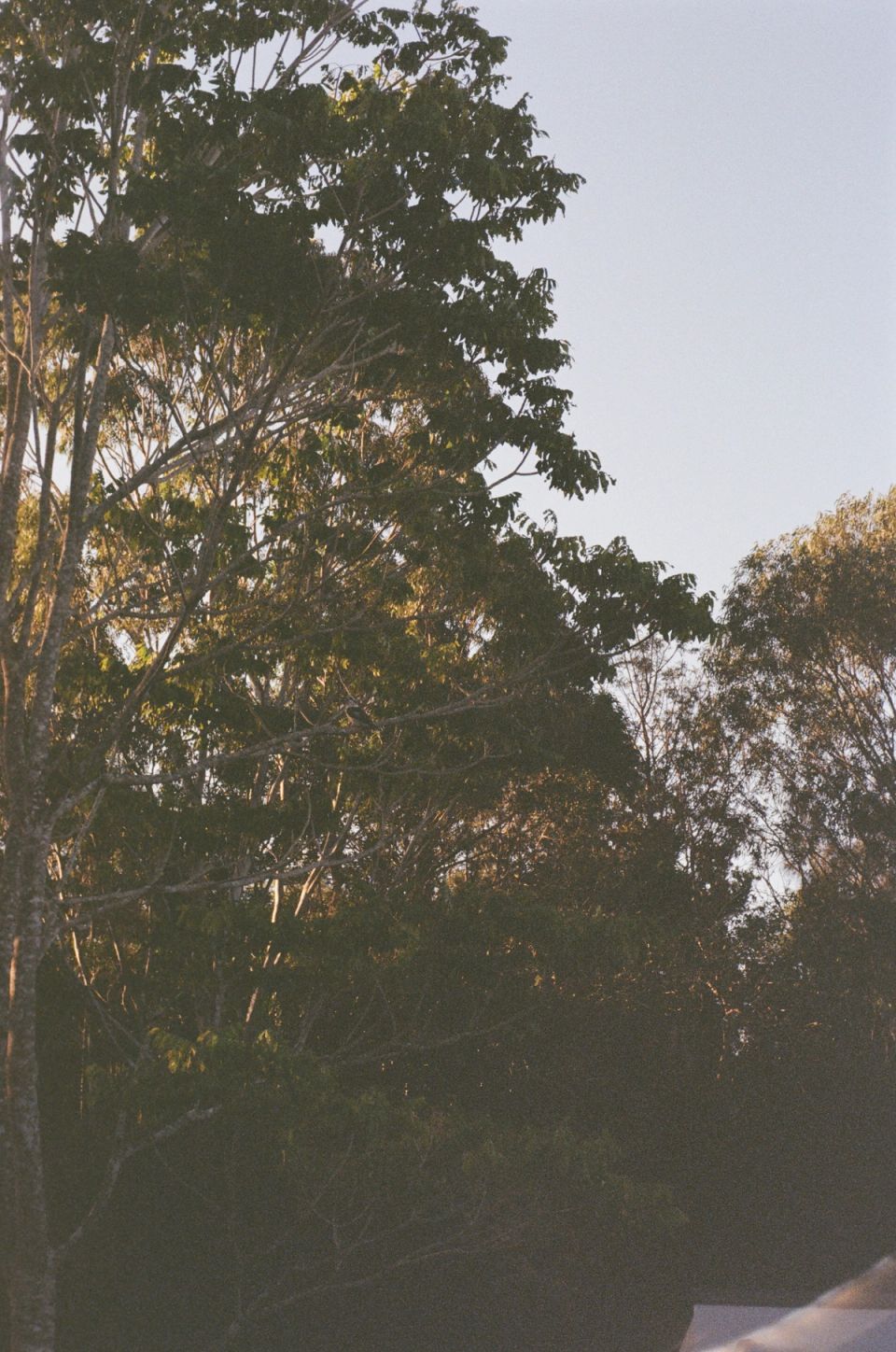Photograph, Australia, 2026