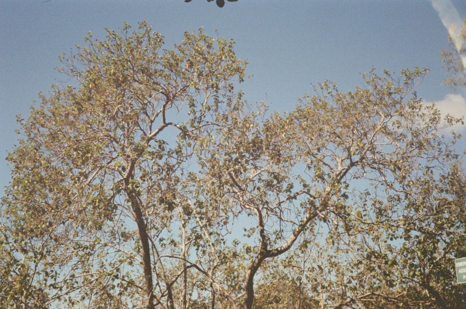 Photograph, Australia, 2026