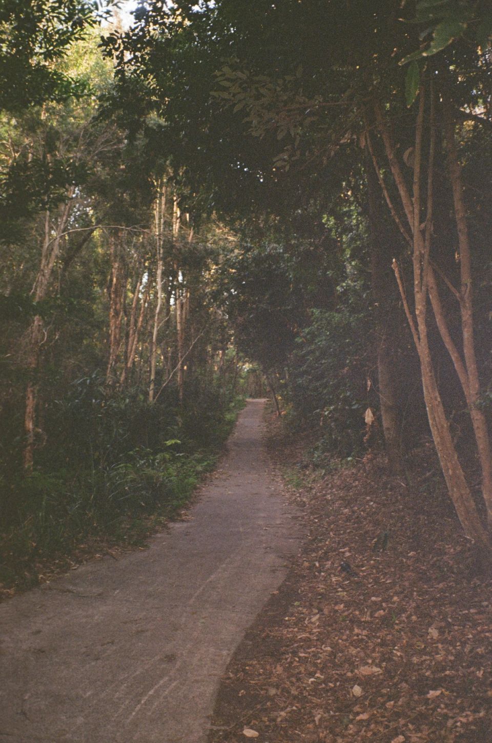 Photograph, Australia, 2026
