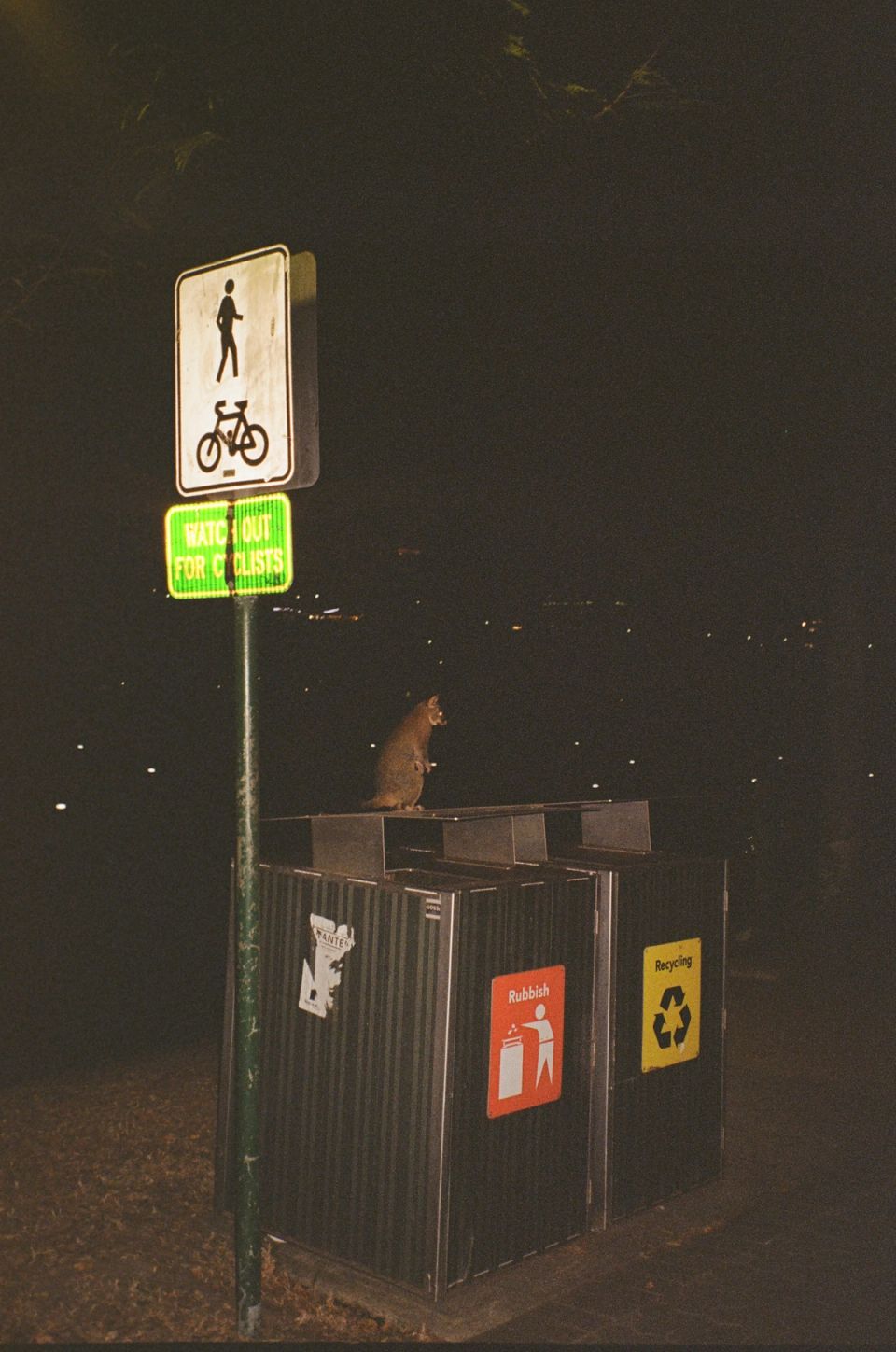 Photograph, Australia, 2026