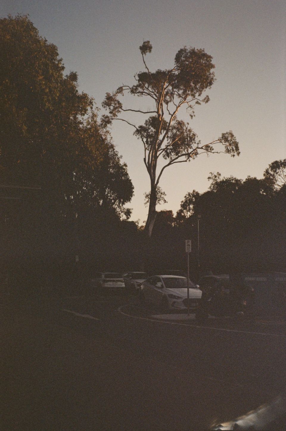 Photograph, Australia, 2026