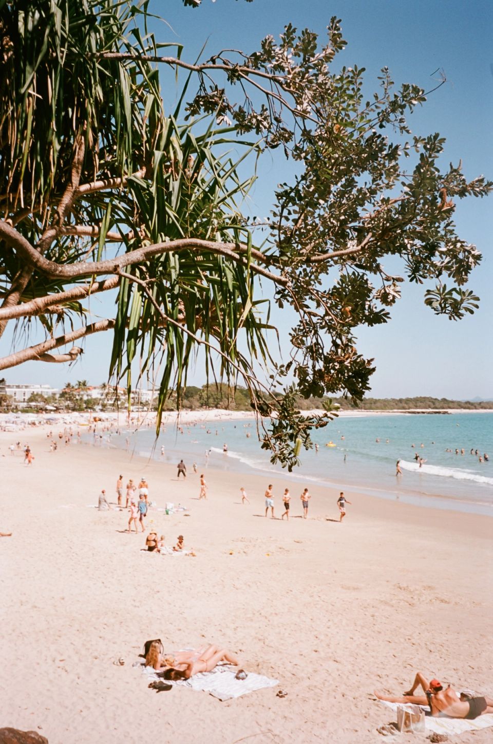 Photograph, Australia, 2026