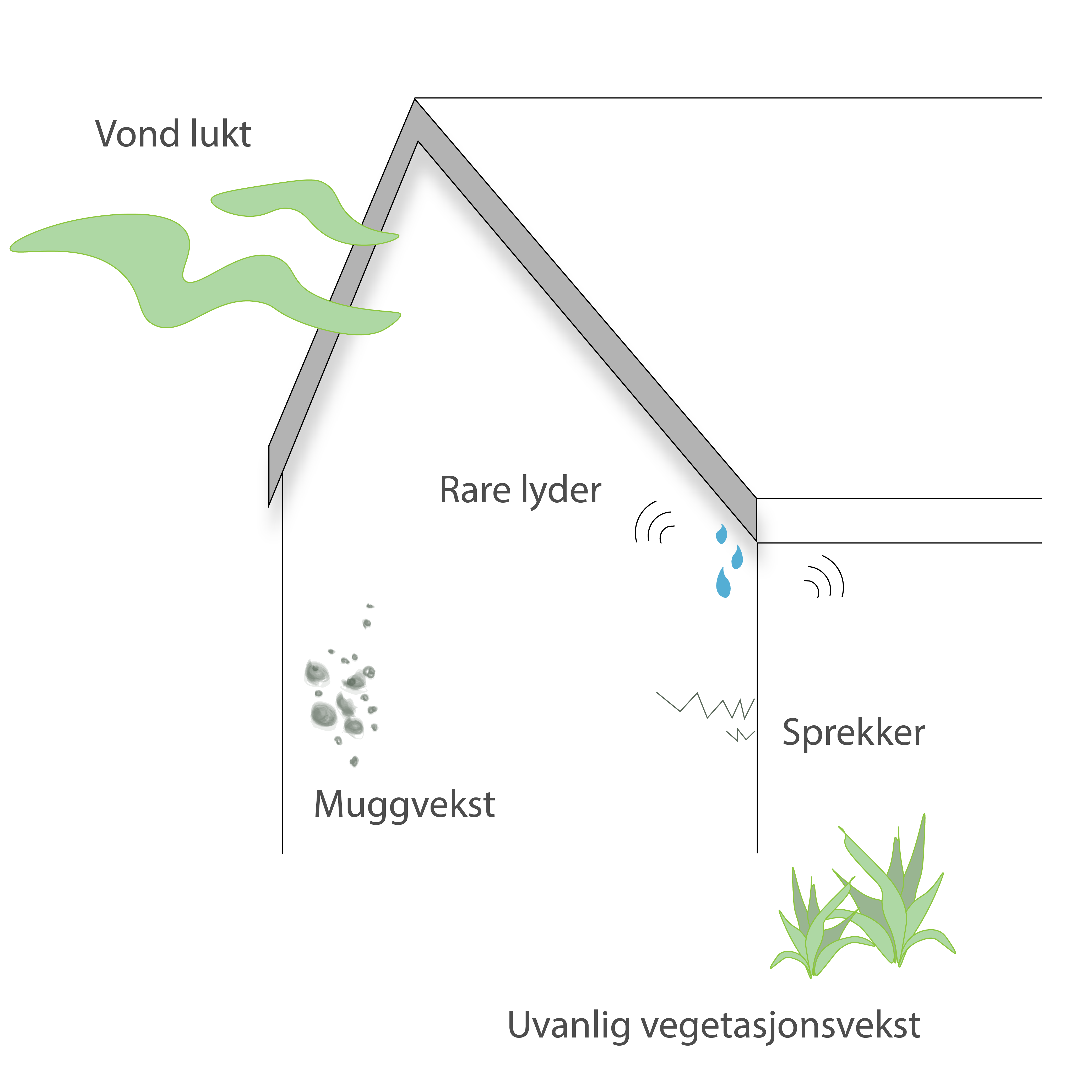 En illustrasjon av tegn på lekkasjer i et hus. Disse er rare lyder, sprekker, muggvekst og vond lukt. Reparasjoner og vedlikehold: lekkasjer